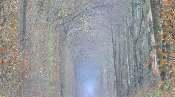 Le Tunnel de l&rsquo;Amour.